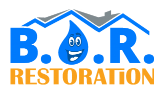 image of logo of Best Option Restoration franchise business opportunity Best Option Restoration franchises Best Option Restoration franchising