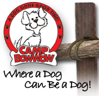 image of logo of Camp Bow Wow franchise business opportunity Camp Bow Wow dog play franchises Camp Bow Wow doggie day camp franchising